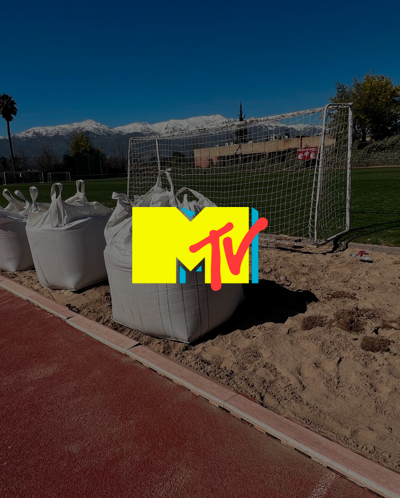 MTV Reallity